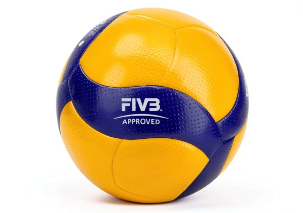 Mikasa Official FIVB Indoor Volleyball-4