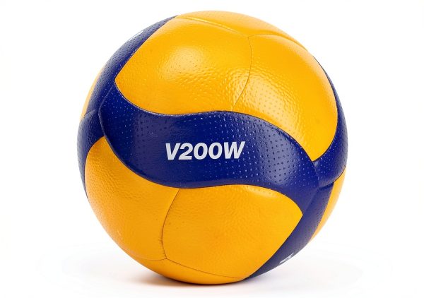 Mikasa Official FIVB Indoor Volleyball-0
