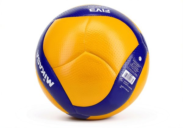 Mikasa Official FIVB Indoor Volleyball-3