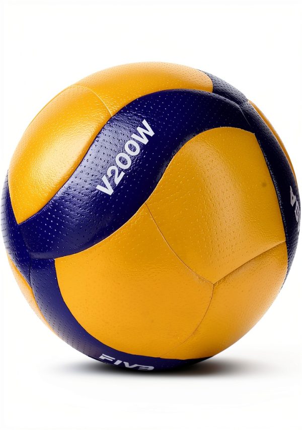 Mikasa Official FIVB Indoor Volleyball-2