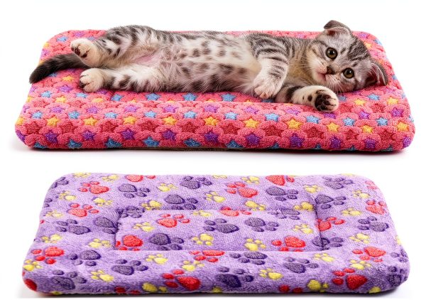 Cat Blanket 2 Pack Ultra Soft Reversible Flannel Bed Red Purple-0