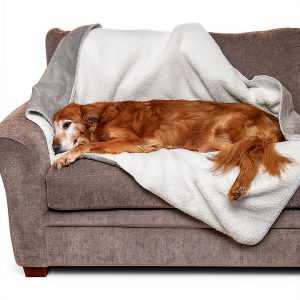 Waterproof Dog Blanket Furhaven Large Dove Terry Sherpa Self Warming-0