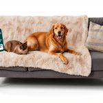 Waterproof Throw Blanket FurHaven Reversible Large Faux Fur Velvet-0